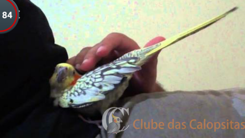 2016-03-31 13.29.32.png