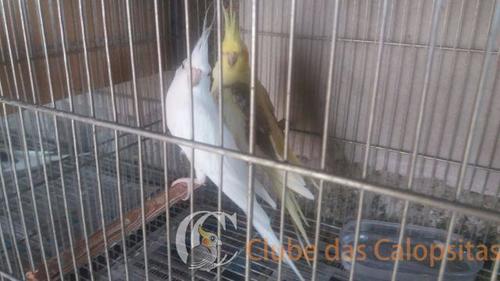 745614027183204.thumb.jpg.8f0115ef6f7ce5