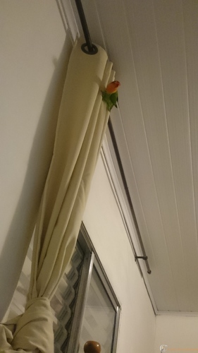 DSC_0314.thumb.JPG.7b390a3d4b2707e2a7de2