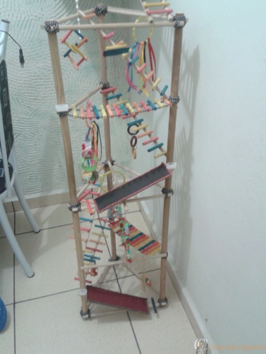 IMG-20141029-WA0000.thumb.jpeg.ca926bc68