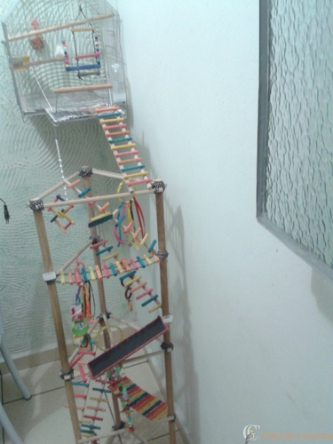 IMG-20141029-WA0002.thumb.jpeg.866f883ac