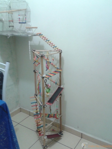 IMG-20141029-WA0004.thumb.jpeg.884493460