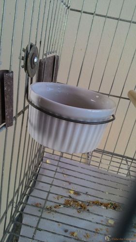 IMG-20160119-WA0010.thumb.jpeg.9deec2620