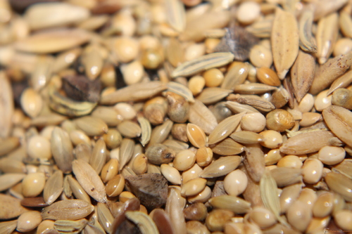 IMG_0188.thumb.JPG.823b03040ea1731ca4069