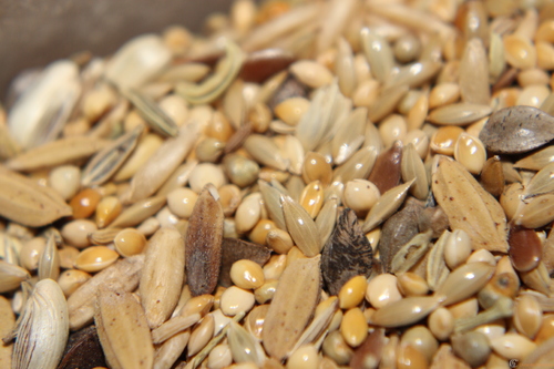 IMG_0201.thumb.JPG.aa9c6090f6d3e6a10d630