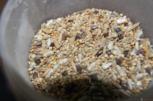 IMG_0202.thumb.JPG.56c72fb77804295b186bb