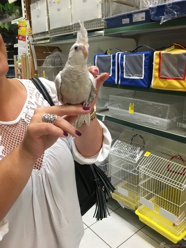 IMG_0479.thumb.jpg.28744d67d31dea23e5fcd