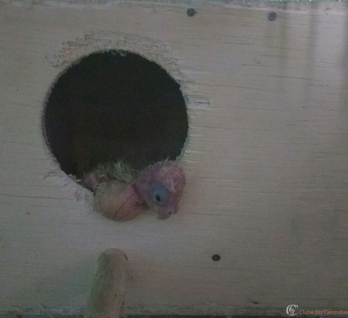 IMG_20160302_215229.thumb.jpg.7c6114b2ac