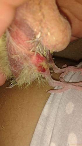 IMG_20160311_154001287.thumb.jpg.7a8170a