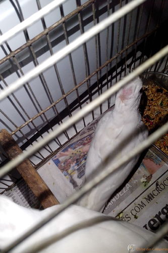 IMG_20160318_185141.thumb.jpg.09bd9fc8bc