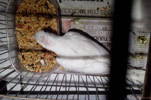 IMG_20160318_185231.thumb.jpg.f429f029d7