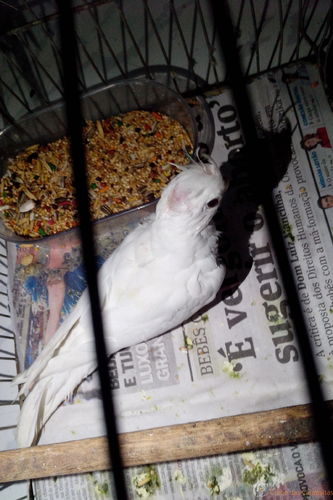 IMG_20160318_185516.thumb.jpg.583771c686