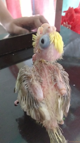 IMG_20160319_142719316.thumb.jpg.8cf06ba