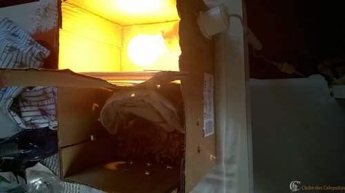 WP_20160312_17_49_44_Pro.thumb.jpg.65070