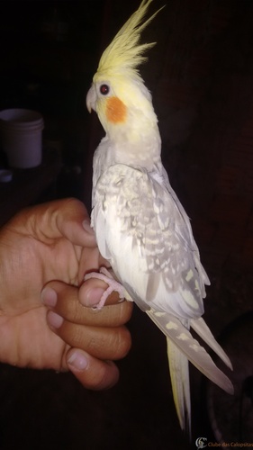 tmp_24197-IMG_20160319_083623038-1176500