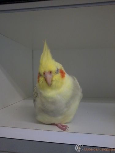 2016-04-04 13.55.46.jpg