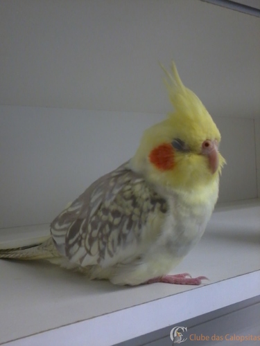 2016-04-04 13.55.51.jpg