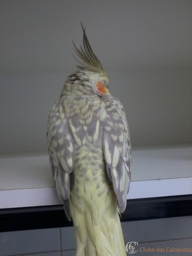 2016-04-04 13.55.56.jpg