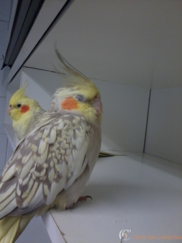 2016-04-04 13.56.01.jpg