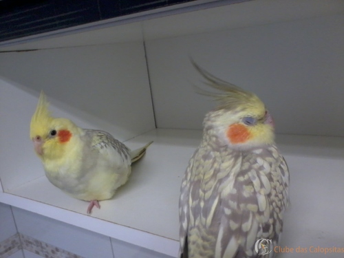 2016-04-04 13.56.06.jpg