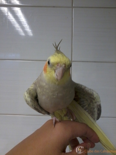 2016-04-04 17.08.19.jpg