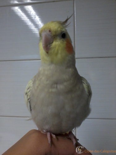 2016-04-04 17.08.26.jpg