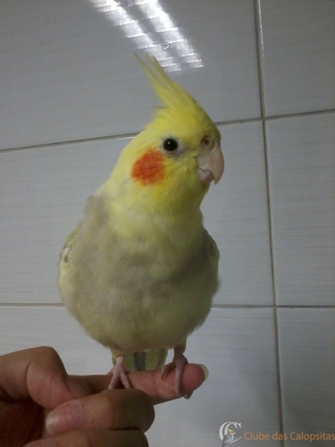 2016-04-04 17.08.55.jpg