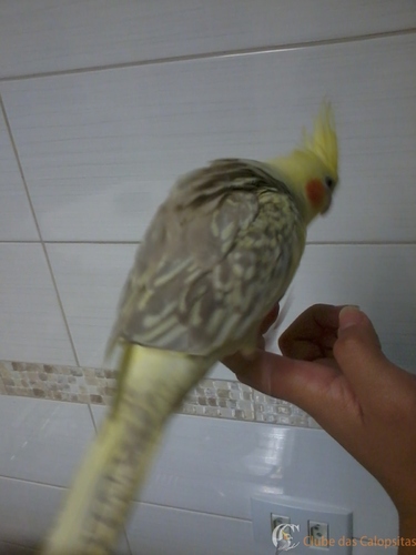 2016-04-04 17.08.59.jpg