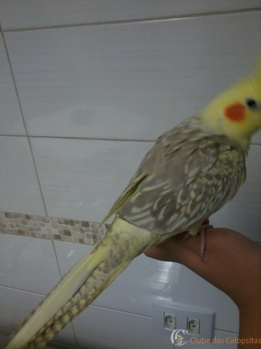 2016-04-04 17.09.01.jpg