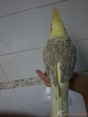 2016-04-04 17.09.03.jpg