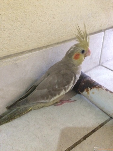 2016-03-19 12.26.14-1.jpg