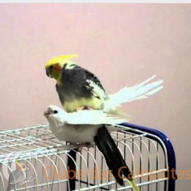 2016-04-10 19.36.00.png