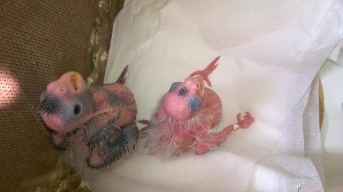 2016-04-22 13.18.05.jpg