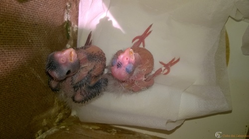 2016-04-22 13.17.41.jpg