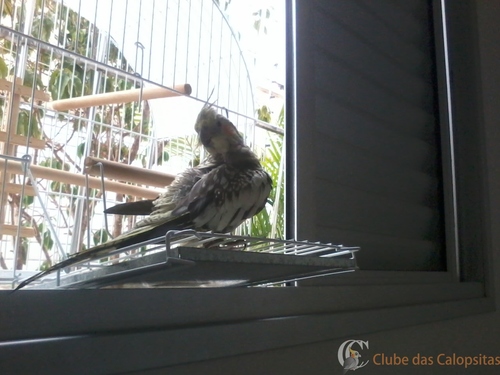 2016-03-14 16.29.04.jpg