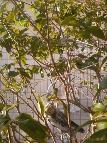 2016-04-07 16.57.37.jpg