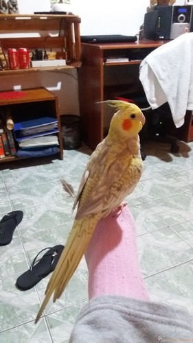 20160509_192937.jpg