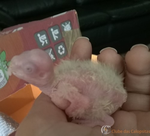 IMG-20160510-WA0001 (2).jpg