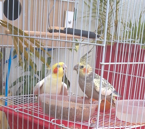 WP_20160306_14_52_47_Moment (2).jpg