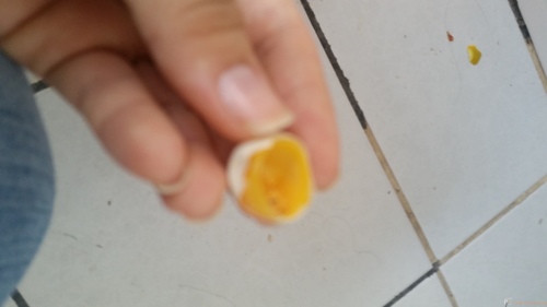 20160509_115204 - Cópia.jpg