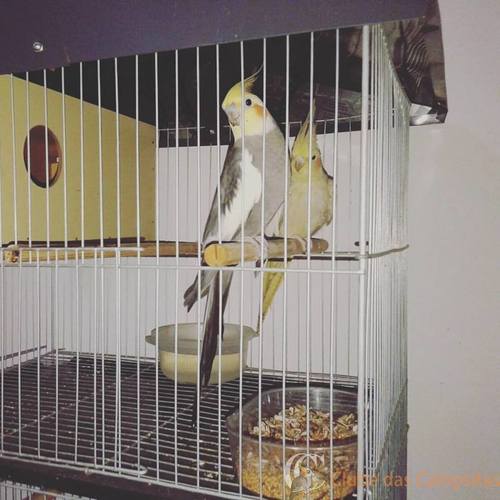 154657_460237424166634_1994614267539583660_n (1).jpg