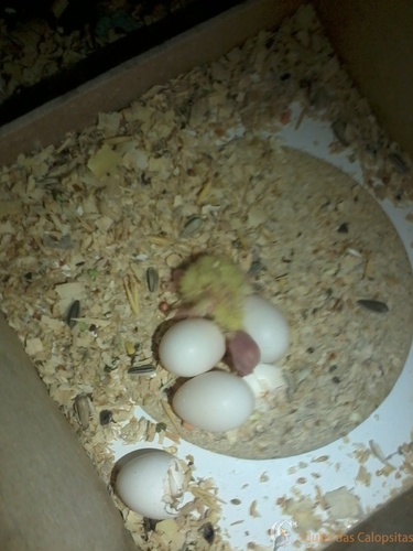 2016-05-20 19.30.34(1).jpg