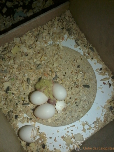 2016-05-20 19.30.39(1).jpg