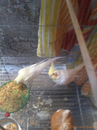 2016-05-02 08.24.50.jpg