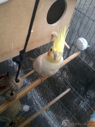 2016-05-21 09.36.12.jpg