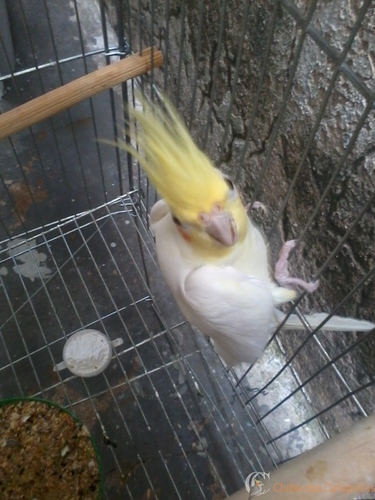 2016-05-21 09.36.34.jpg