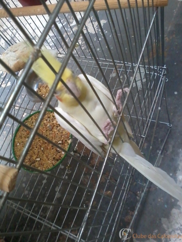 2016-05-21 09.36.45.jpg