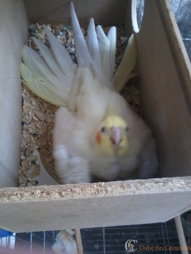 2016-05-21 09.37.03.jpg