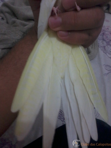 2016-05-21 11.57.08.jpg