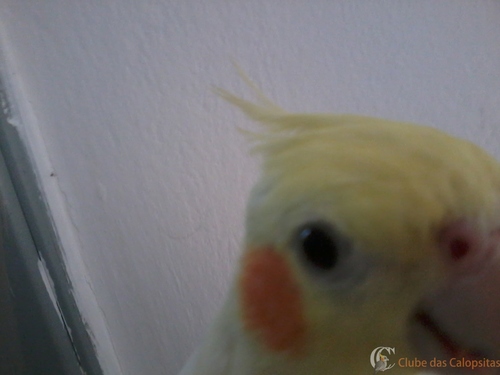 2016-05-21 11.58.29.jpg